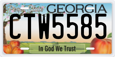 GA license plate CTW5585