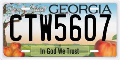 GA license plate CTW5607