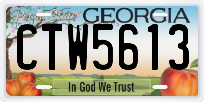 GA license plate CTW5613