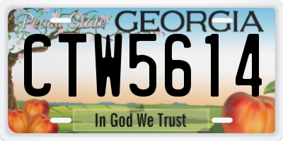 GA license plate CTW5614