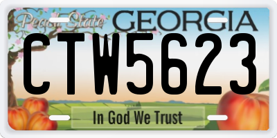 GA license plate CTW5623