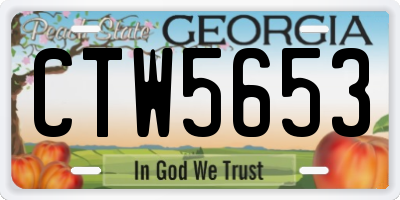 GA license plate CTW5653