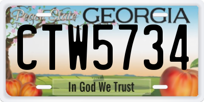 GA license plate CTW5734