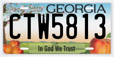 GA license plate CTW5813