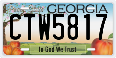 GA license plate CTW5817