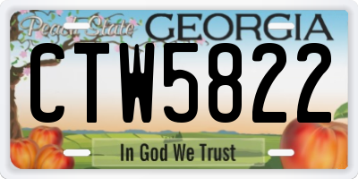 GA license plate CTW5822