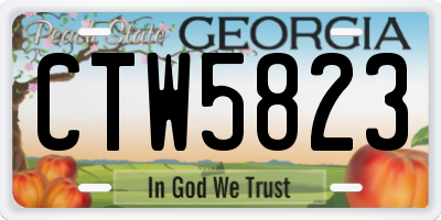 GA license plate CTW5823