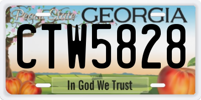 GA license plate CTW5828