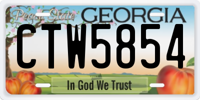 GA license plate CTW5854