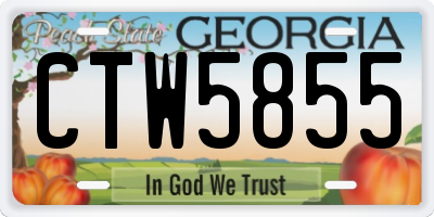 GA license plate CTW5855