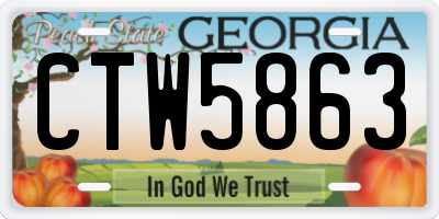 GA license plate CTW5863