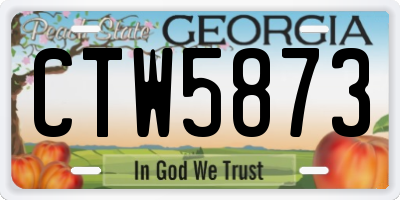 GA license plate CTW5873