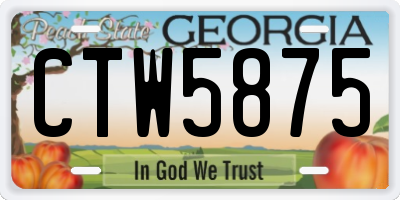 GA license plate CTW5875