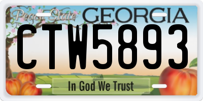 GA license plate CTW5893