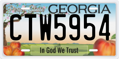 GA license plate CTW5954