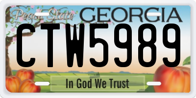GA license plate CTW5989