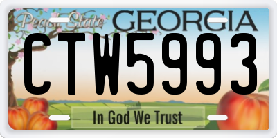 GA license plate CTW5993