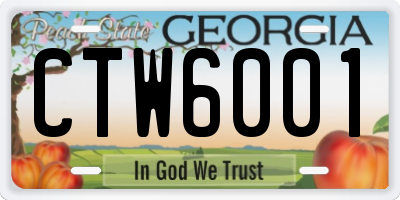 GA license plate CTW6001