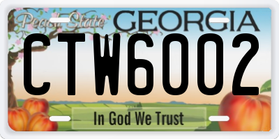 GA license plate CTW6002