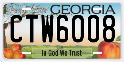 GA license plate CTW6008