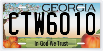 GA license plate CTW6010