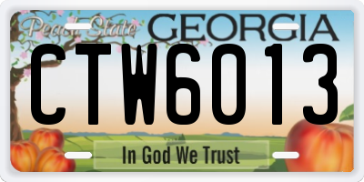 GA license plate CTW6013