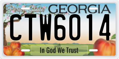 GA license plate CTW6014