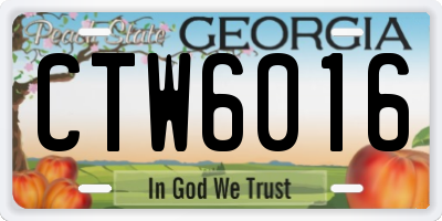 GA license plate CTW6016