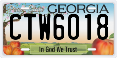 GA license plate CTW6018
