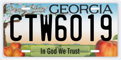 GA license plate CTW6019