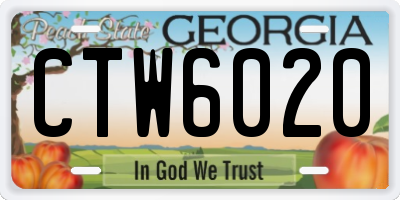 GA license plate CTW6020