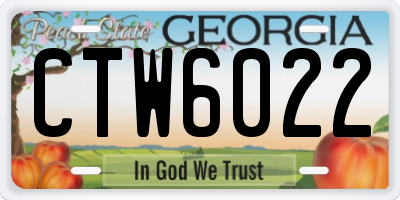GA license plate CTW6022