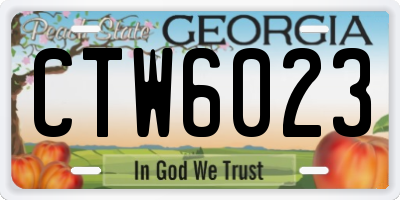 GA license plate CTW6023