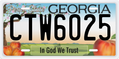 GA license plate CTW6025