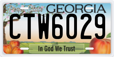 GA license plate CTW6029