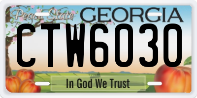 GA license plate CTW6030