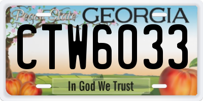 GA license plate CTW6033