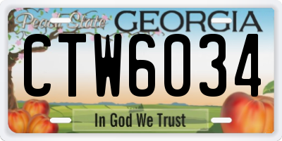 GA license plate CTW6034