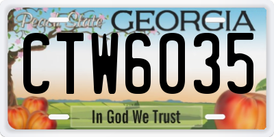 GA license plate CTW6035