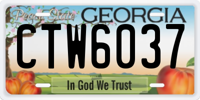 GA license plate CTW6037