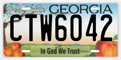 GA license plate CTW6042