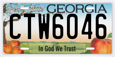 GA license plate CTW6046