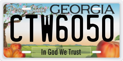 GA license plate CTW6050