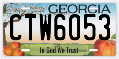GA license plate CTW6053