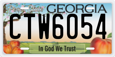 GA license plate CTW6054