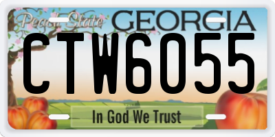 GA license plate CTW6055