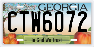 GA license plate CTW6072