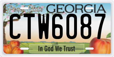 GA license plate CTW6087