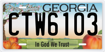 GA license plate CTW6103
