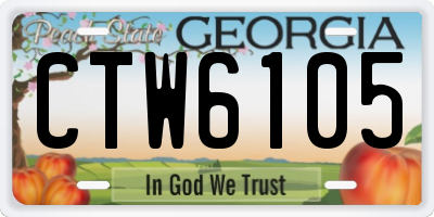 GA license plate CTW6105